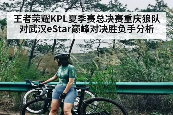 王者荣耀KPL夏季赛总决赛重庆狼队对武汉eStar巅峰对决胜负手分析