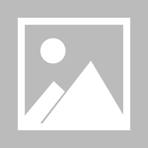 开云体育下载-【布鲁克林网事】以各种各样的姿势扎进同一条河流